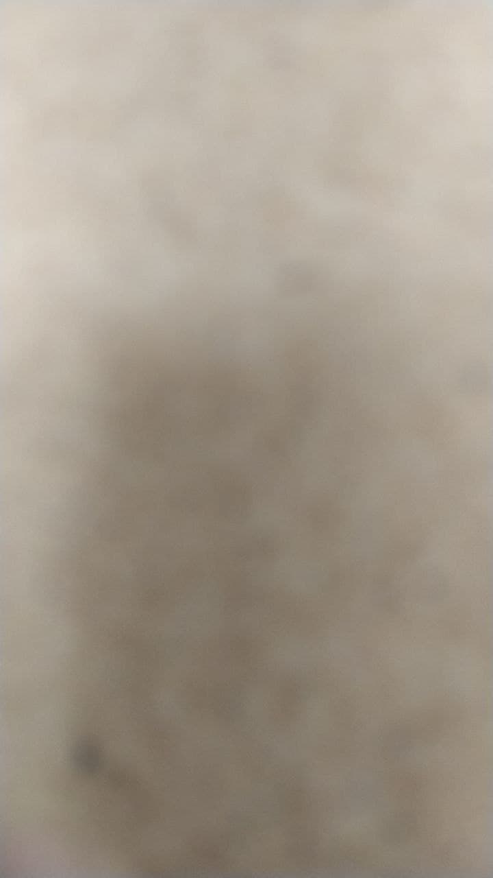 Turu