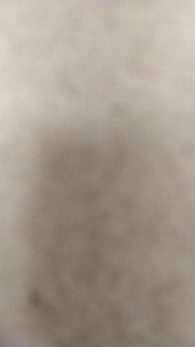 Turu