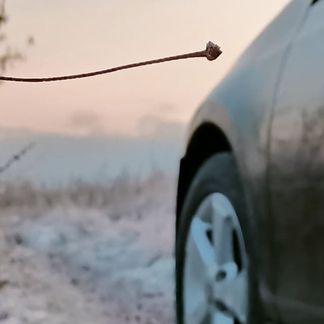 досвидос