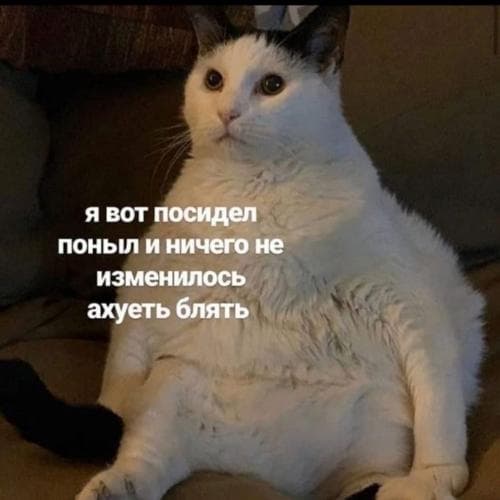 мяунсай