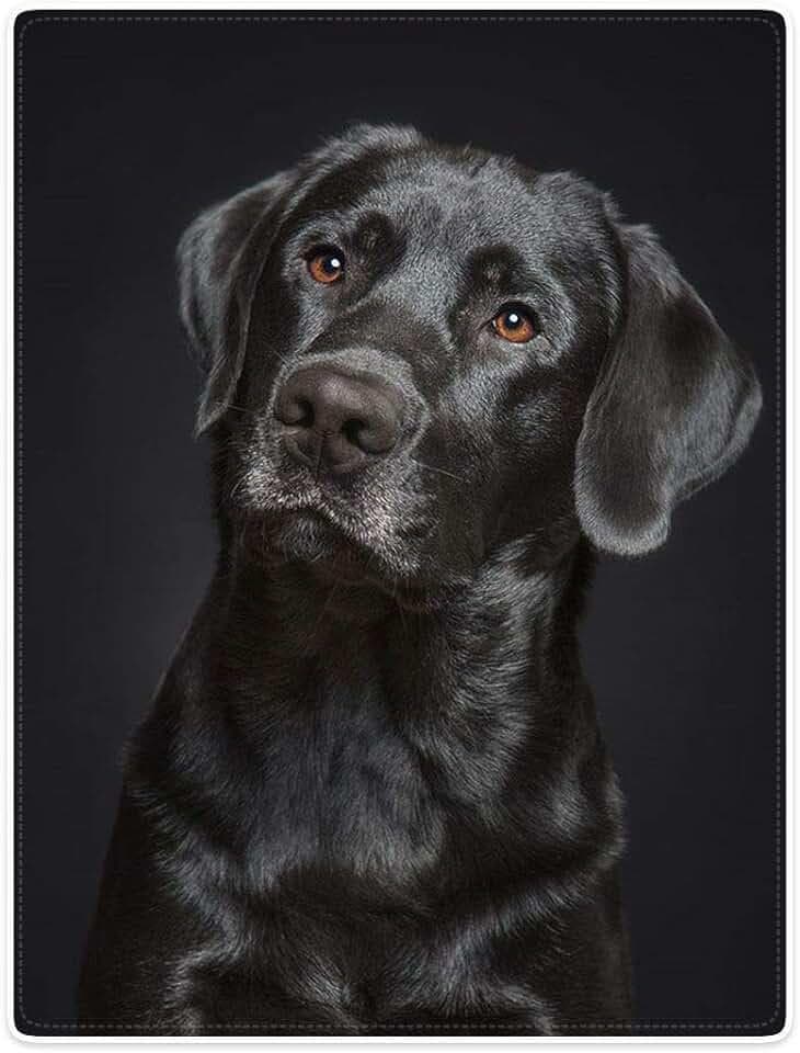 Яна