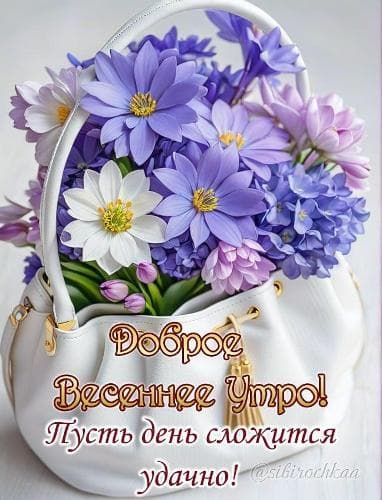 Владимир