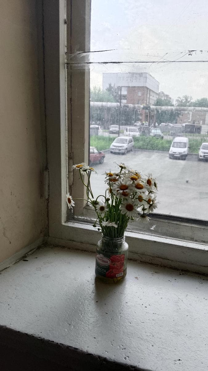 Кира