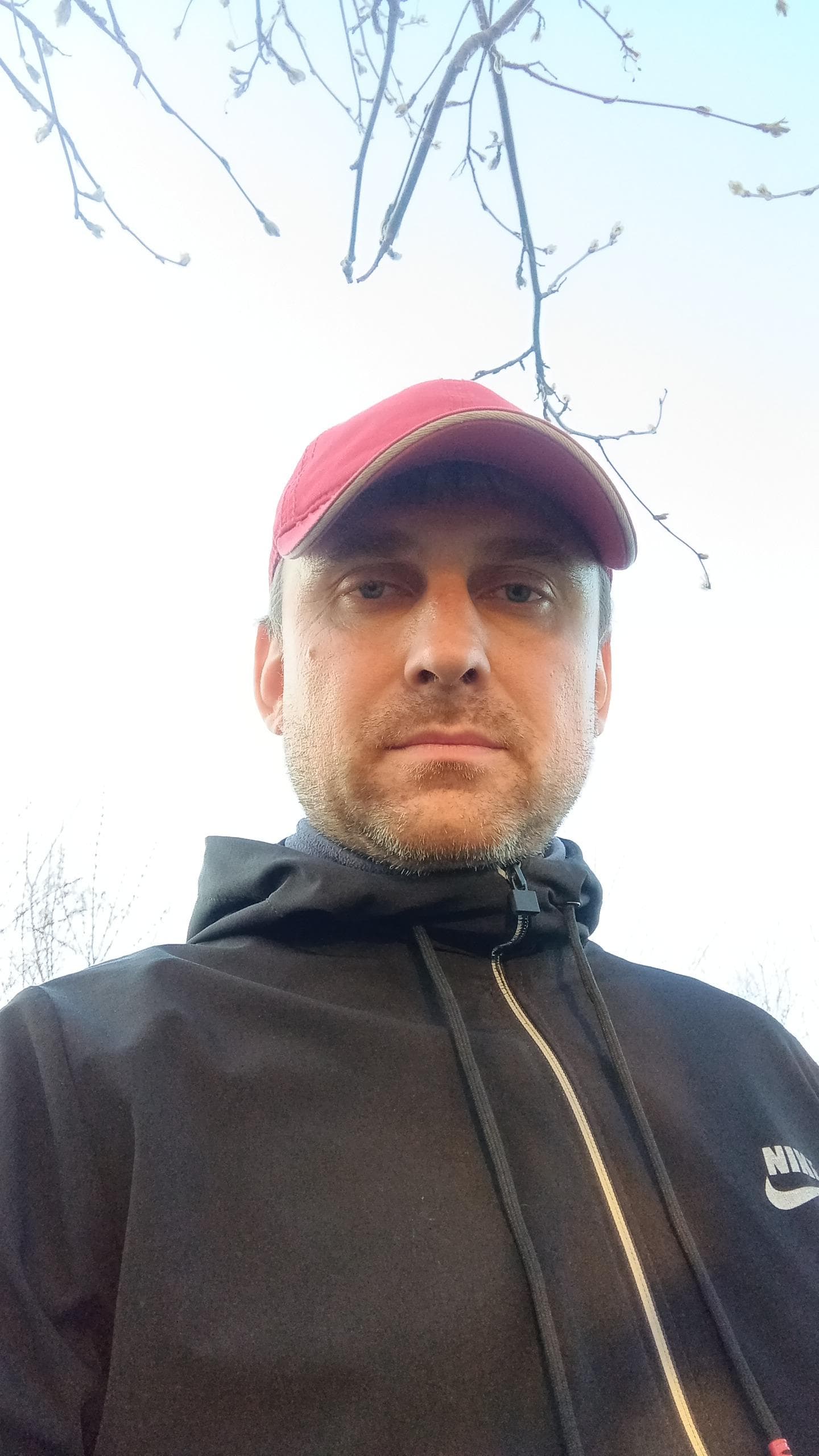 Тимон