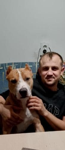 Роман