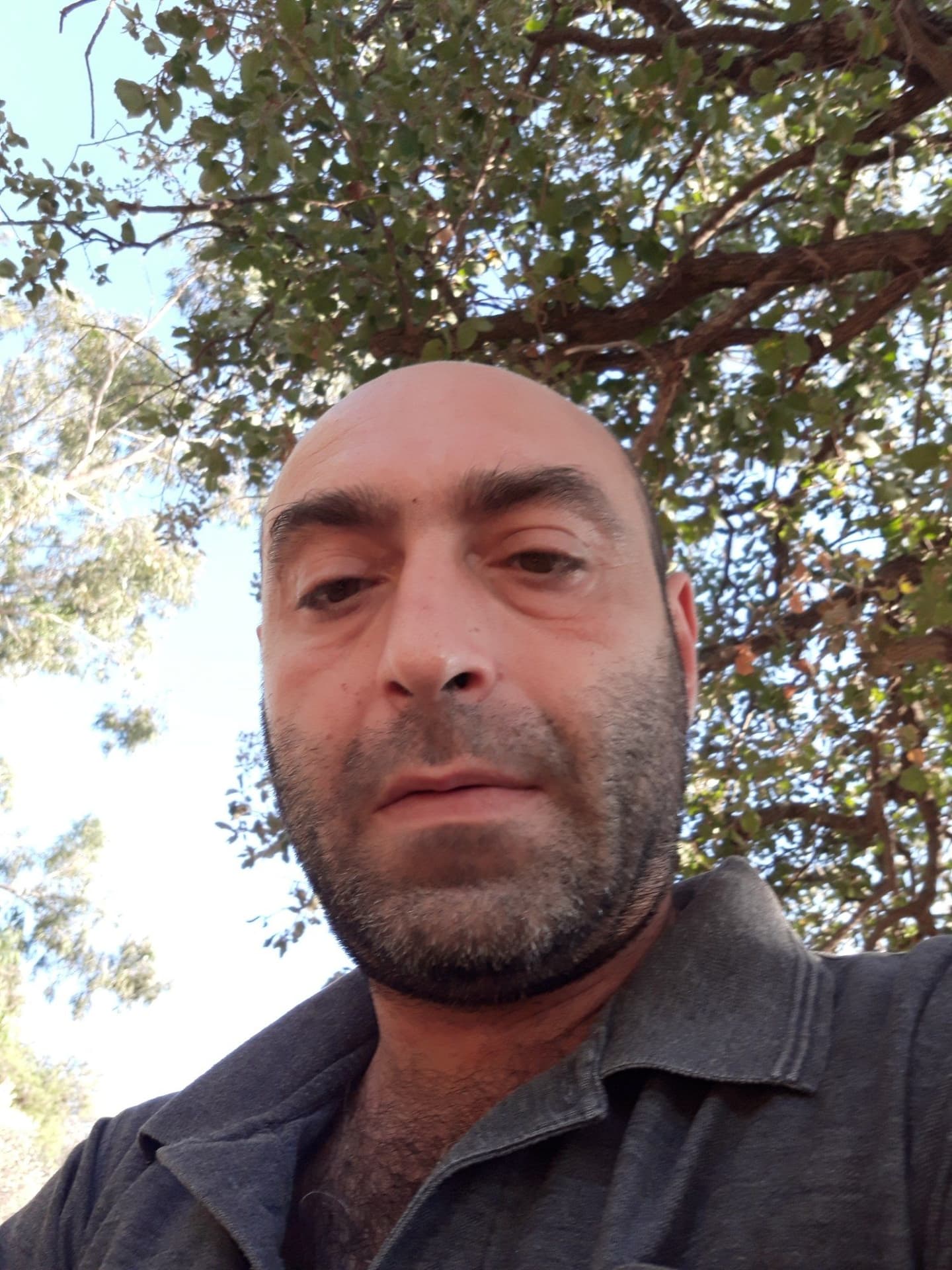 Andrei