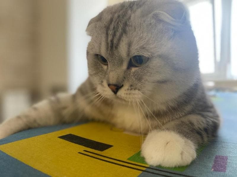 Ruslan