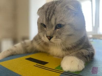 Ruslan