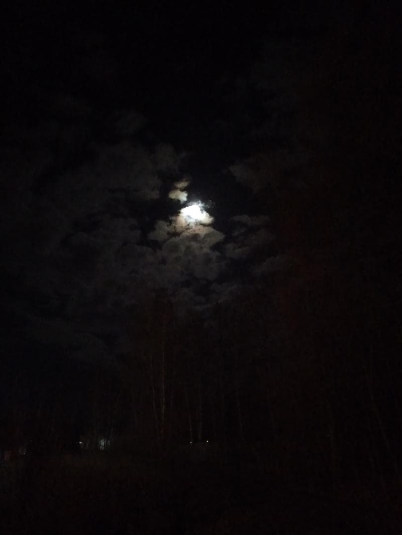 Дарья