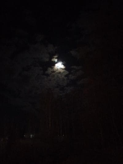 Дарья
