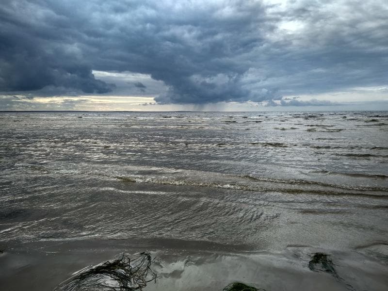 Алекс