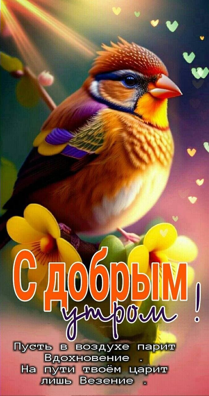 Андрей