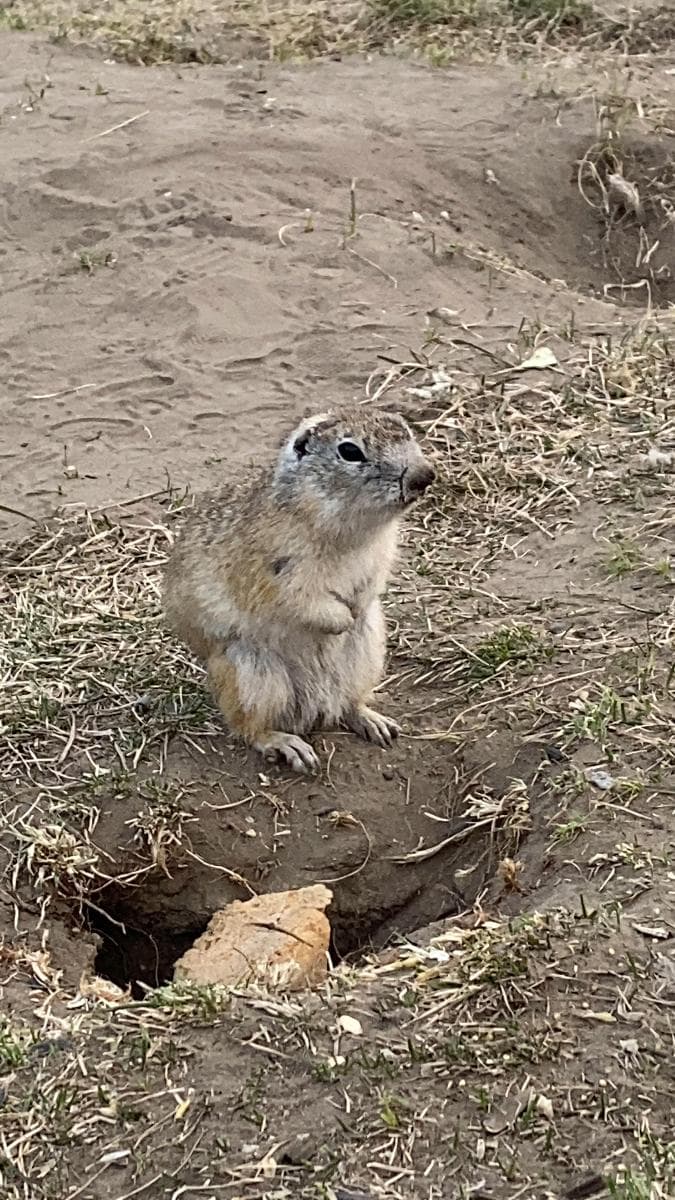 Максим
