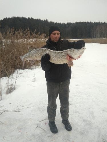 Дима