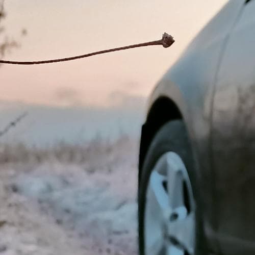 досвидос