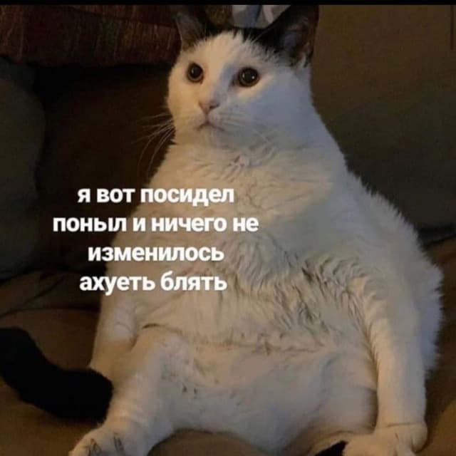 мяунсай