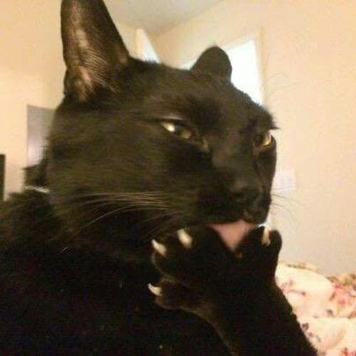Dis
