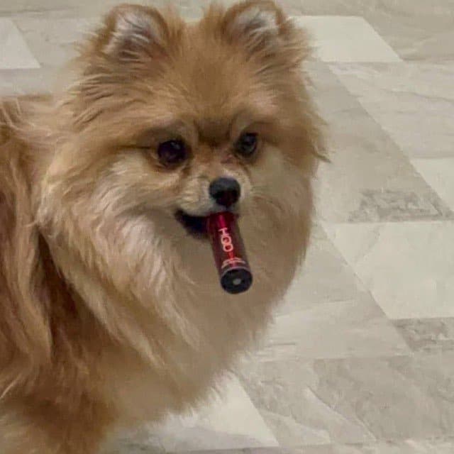 МИЛА ♾️