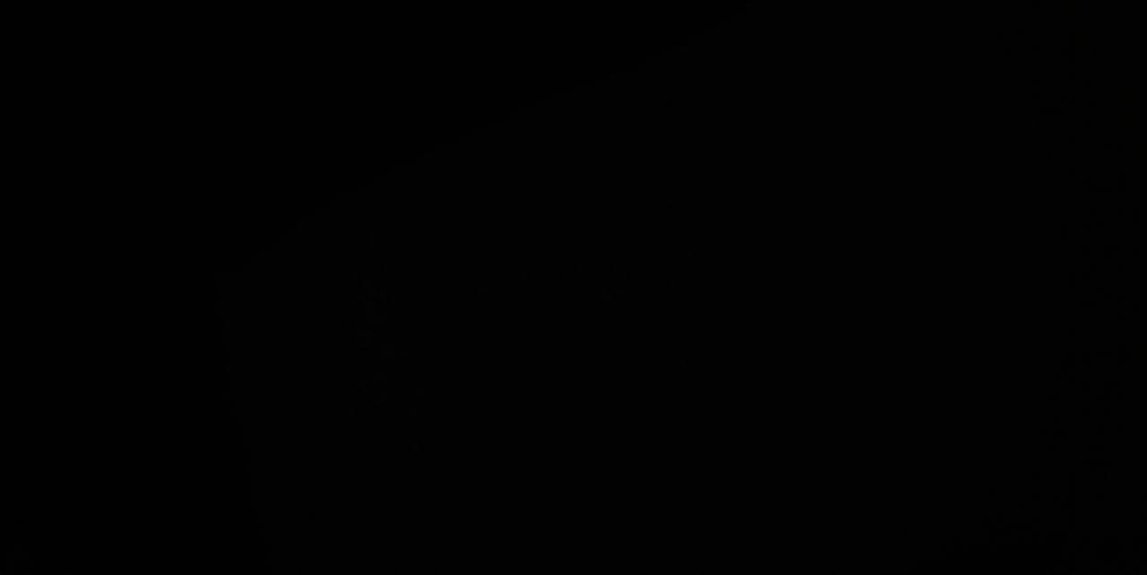 Script