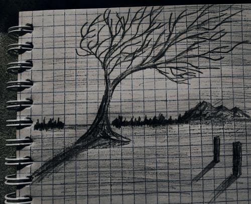 Nord