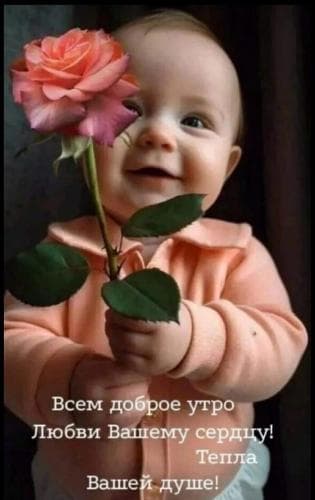 Сем