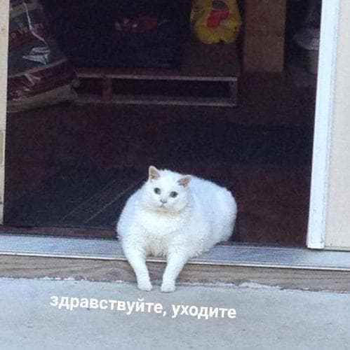 ٩(๑・ิᴗ・ิ)۶