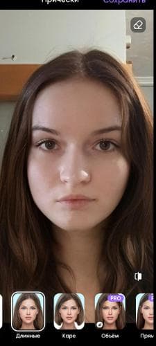 Света