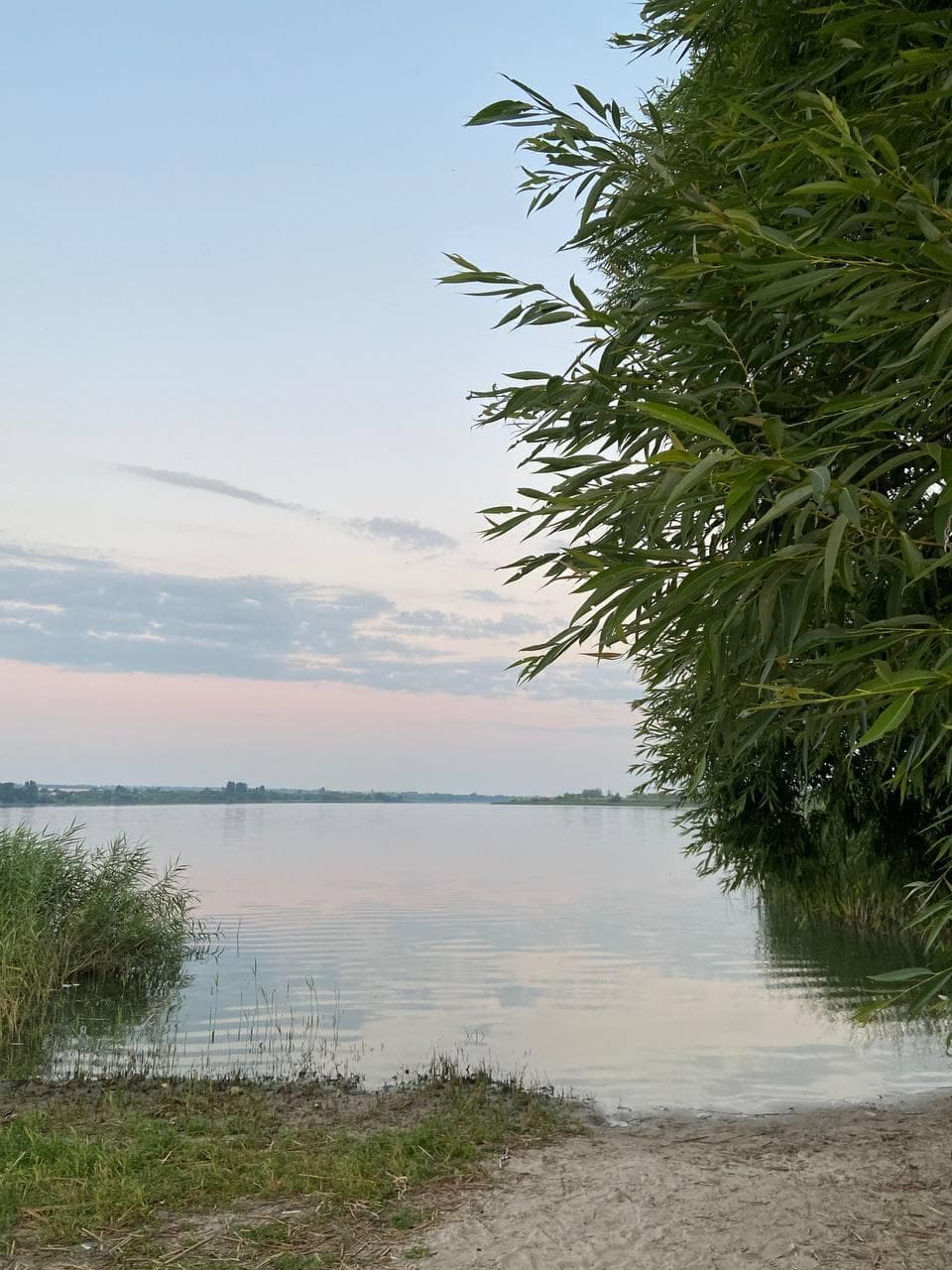 Ками