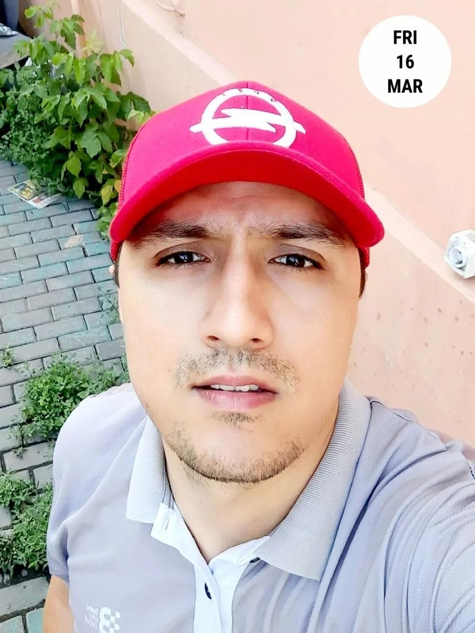 Fed