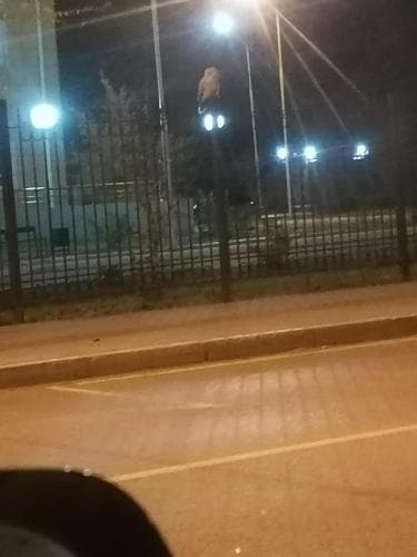 Дима