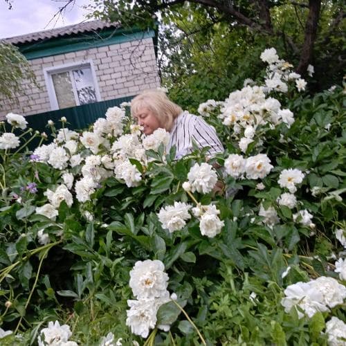 Лариса