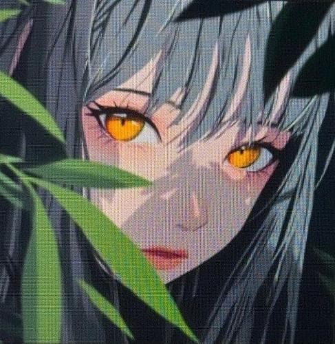 Noname