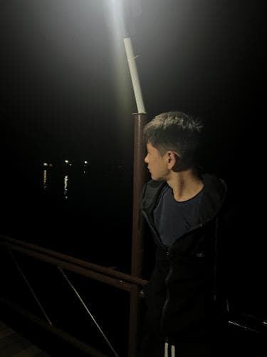 Aman