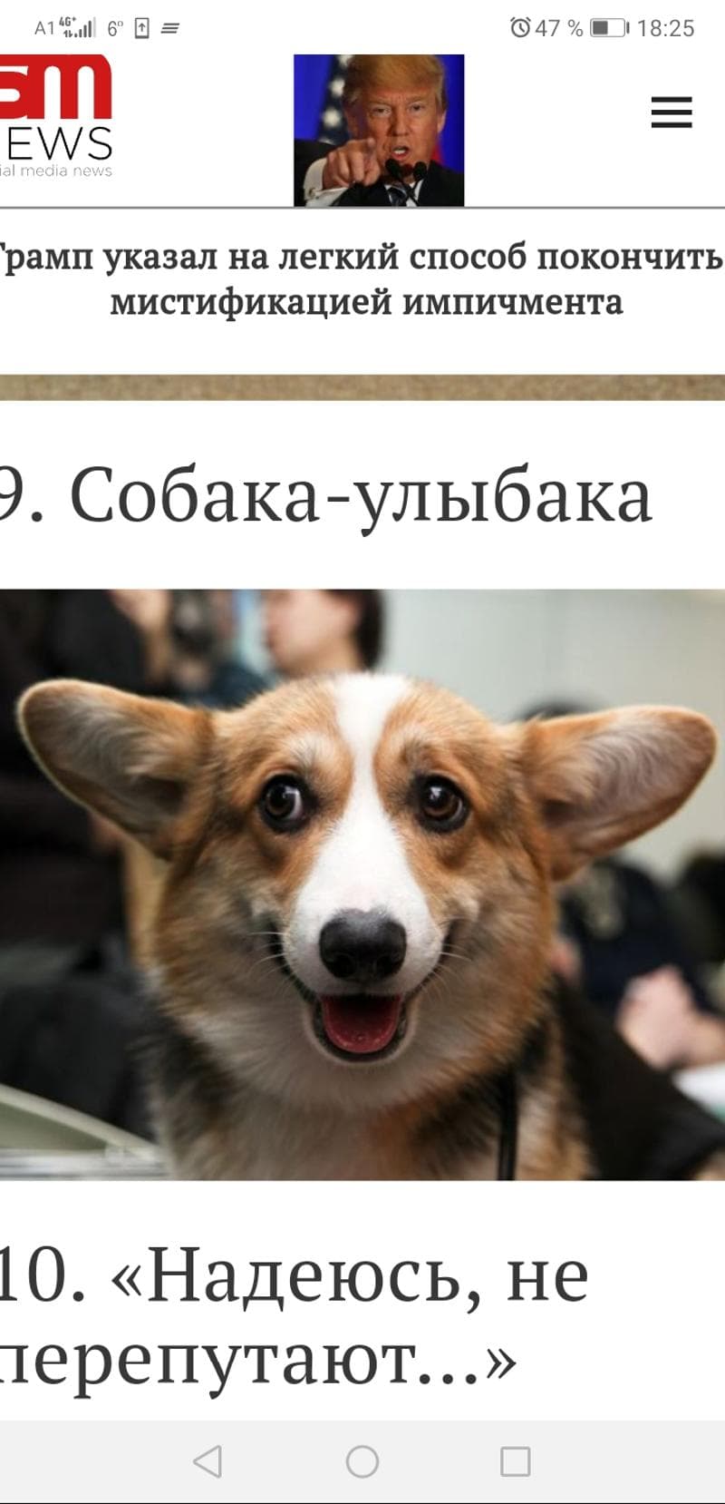 Алекс