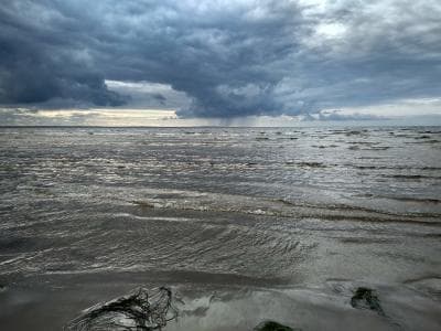 Алекс