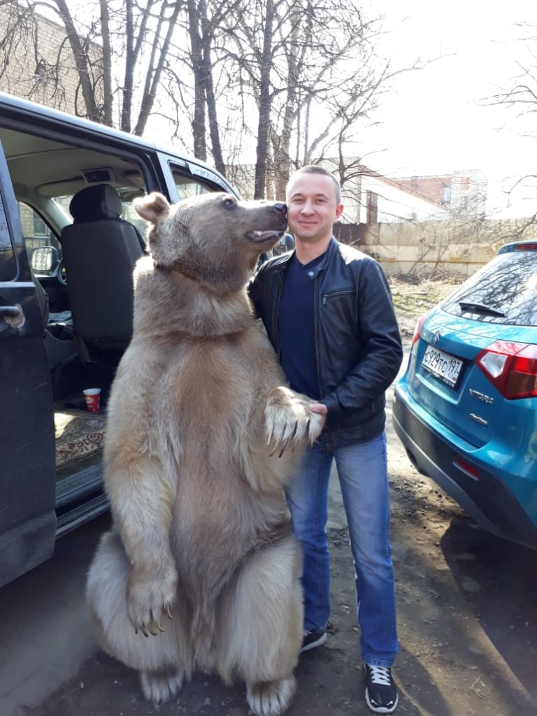 Дмитрий