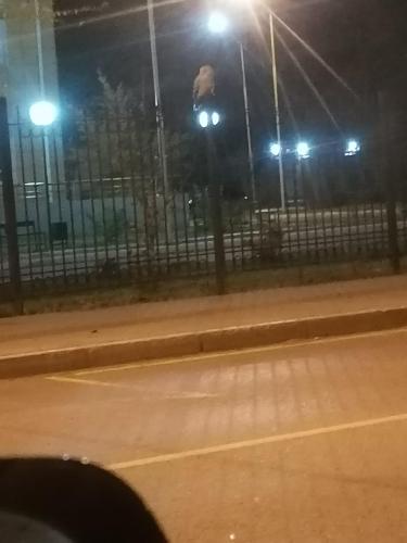 Дима