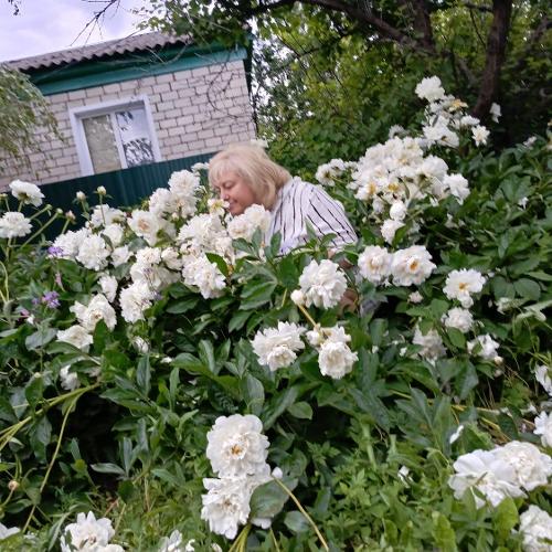 Лариса